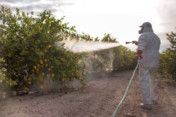 Best Bird Control  in Santa Rosa, CA
