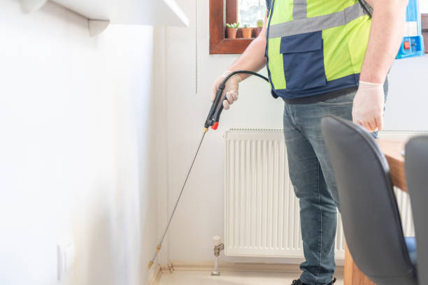 Wasp Removal Services in Santa Rosa, CA