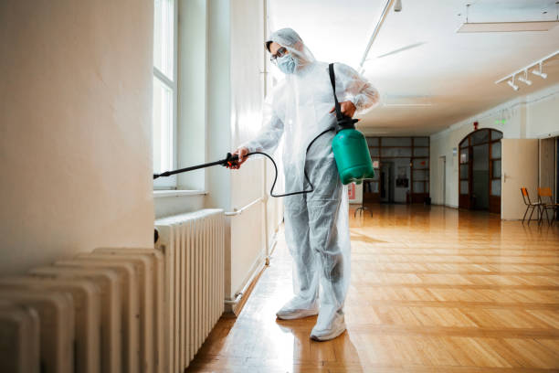 Best Pest Control Near Me in Santa Rosa, CA