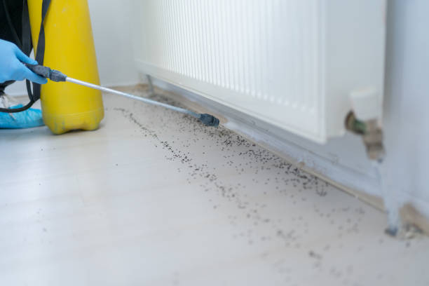 Best Mosquito Control Services  in Santa Rosa, CA
