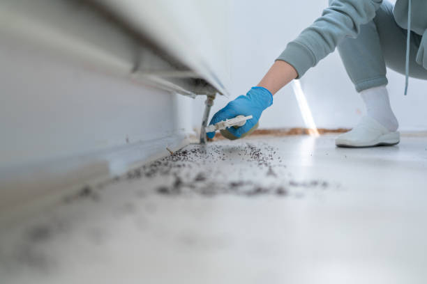 Trusted Santa Rosa, CA Pest Control Experts