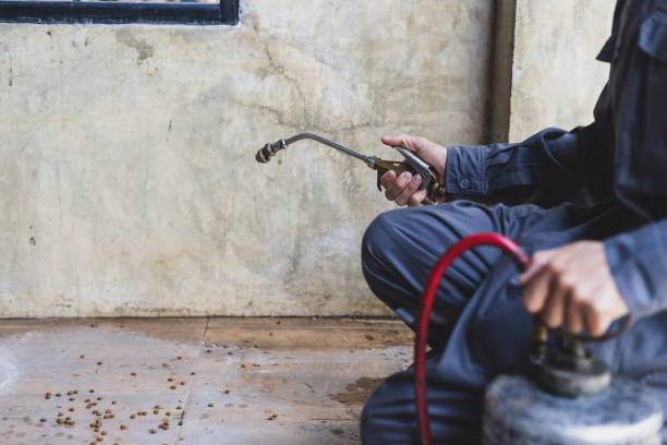 Best Best Pest Control Companies  in Santa Rosa, CA